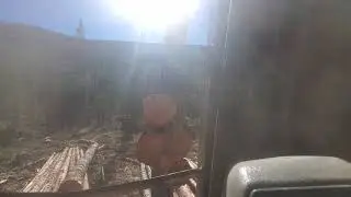 Log loading 