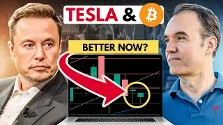 Что на самом деле происходит с ценами на акции Tesla сейчас