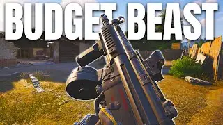 This BUDGET GUN Can Make You MILLIONS in Arena Breakout Infinite