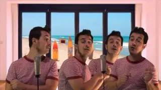 Don't worry baby (Beach Boys) performed by The Leo