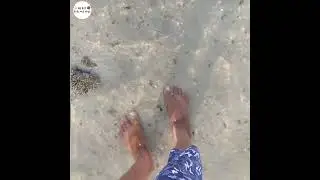 Lifting the Restrictions be like.... #shorts #ytshorts