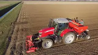 Uien Planten