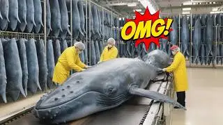 Whale Leather: The Controversial Craft of Ultra-Luxury Goods |Behind the Build