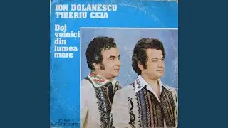 Doi voinici din lumea mare