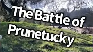 The Battle of Prunetucky