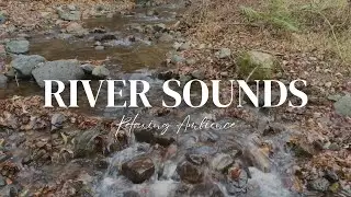 Relaxing River Sounds |1 Hour Nature River Sounds to Sleep, Relax, Meditate