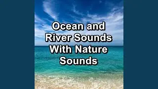 Calming Waves The Best Water Sounds To Loop for 24 Hours