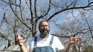 IPM Is For All Beekeepers