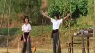 Kung Fu Twins