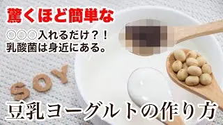 豆乳ヨーグルトが出来る仕組みを解説！意外な食べ物で豆乳ヨーグルトを作ることができます！【ヴィーガン Vegan】豆乳ヨーグルトの作り方