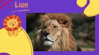 Learn Safari Animals for Toddlers with The Darling Toy House