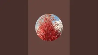 212. सुंदर कांड 39/40. श्रीमद् वाल्मीकि रामायण से श्रीराम कथा। valmiki ramayana sundar kand