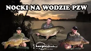 Karpie i amury | Nocki na PZW