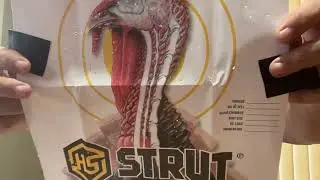 Patterns at 40yards turkey guns