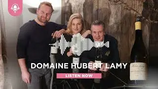 DOMAINE HUBERT LAMY | Kates's Wine Comment by KATE & KON TV |
