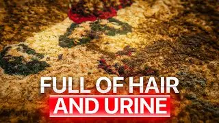 Full Of Urine, Covered In Hair and Filth | The Restoration Of a Kennel Rug