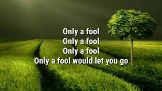 Only A Fool (Lyrics)| Galantis, Ship Wrek, Pink Sweat$