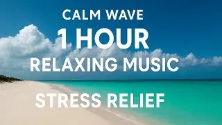 Calm Wave: 1 Hour Relaxing Music for Deep Sleep, Study & Stress Relief