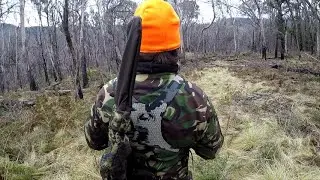 Cold, Wet and Thriving - A NSW State Forest Hunt