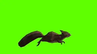green screen #copyright #green squirrel # running squirrel #TAYYABA FATIMA