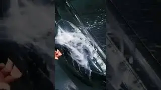 headlight washer comparison