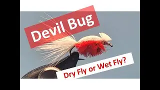 Devil Bug
