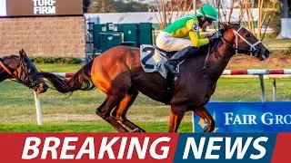 Horse Racing Weekend Recap Rising Stars, Big Wins & Historic Milestones। USA NEWS TODAY