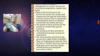Vitellogenesis