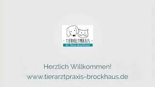 Tierarztpraxis Dr. Tessa Brockhaus in Hattingen - Herzlich Willkommen