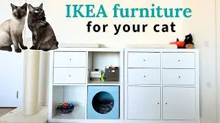 Best IKEA Furniture For Cats | IKEA Furniture You and Your Cats Will Love