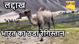 Camel Ride & Hunder Sand Dunes | Nubra Valley |