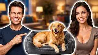 Travel Dog Beds - The Game Changer Pet Parents Are Missing