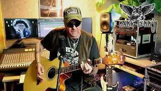 Nutbush City Limits Cover by Mark Terry
