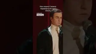 Как кошка Снежка перевернула мою жизнь! 🤗 #иванабрамов #StandUp