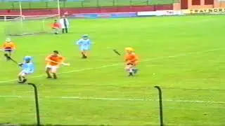 St Annes V Taghmon Rackard League Final 1990