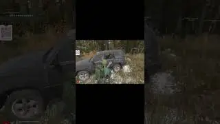 Я нашёл костёр &ndash; костёр нашёл твой last-log #DayZPVP #Охота #Стрим #malinrootgames #dayz