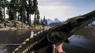 Far Cry 5 I All Fish Available in the Game I Compilation