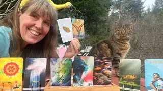Leo Full Moon Awakening&hellip; Shine from the Heart with Segue 🌕🦋💚