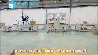 Random Carton Sealing Labeling and Weight Checking Line @pennwong2974 @victorchen230