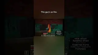 Accidentally Made a FIRE Enderman 🟣🔥 | Pearl Hunting Chaos | The Dadcrafter