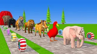 Long Slide Game With Elephant Gorilla Buffalo Hippopotamus Tiger - 3d Animal Game - Funny 3d Animals