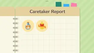 Collecting Tropical Sunset Gyroidites In Animal Crossing Pocket Camp | (No Talking)