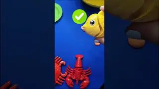 Fish Sliding Fun 🐟 | Watch Sea Animals Play on the Slide!