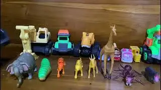 MAINANKU 🐱🐘🐅🐆🦒