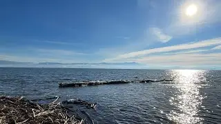 Malerecke. Langenargen. Уголок художника. Лангенарген.