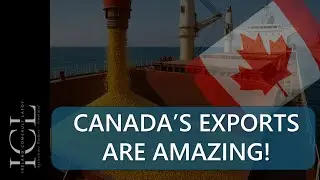 Canada's Canola and Wheat Exports are Amazing!