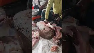 Meat🍖Cutting Beef Dicing