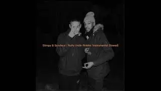 Nutty Violin Riddim - Stimpy and Scruface (Instrumental Slowed)