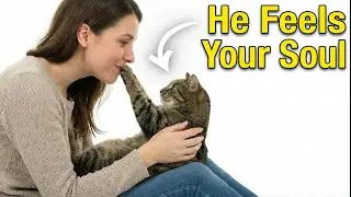 Your Cat Knows You Better Than You Think | 10 Scientific Signs