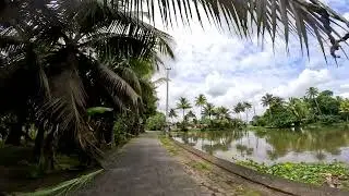 Kumarakom, Kerala 🔥 Gods Own Country 🔥 Backwater Kerala 🔥 Beautiful Village Roads 🔥 4K - 60 FPS